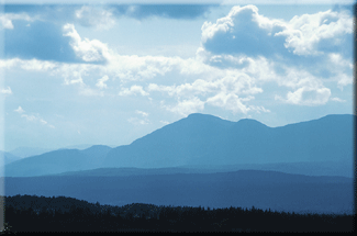 website design in Hickory, Charlotte NC