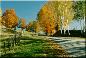 website design Hickory, Charlotte NC Foothills Data Website Design, Development